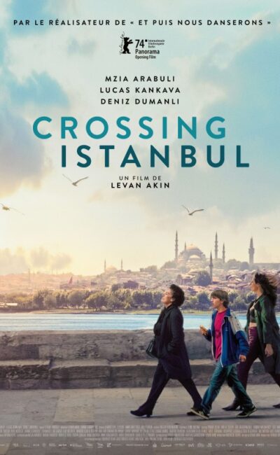 Crossing Istanbul, l'affiche