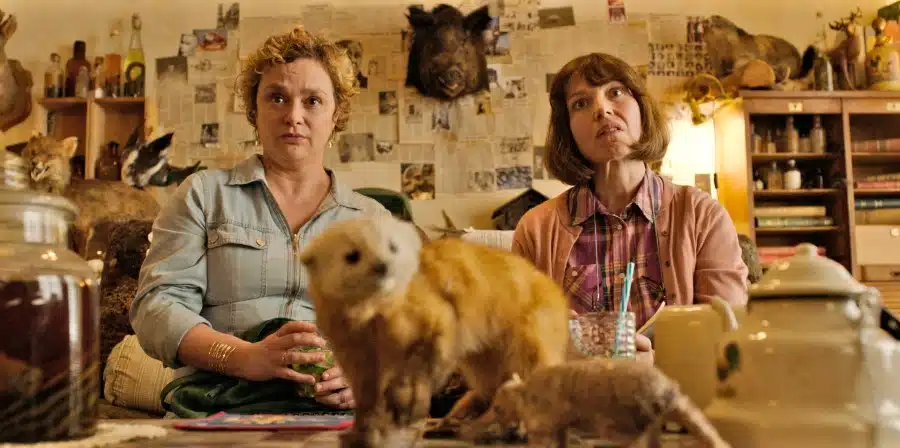 Les pistolets en plastique, photo 1