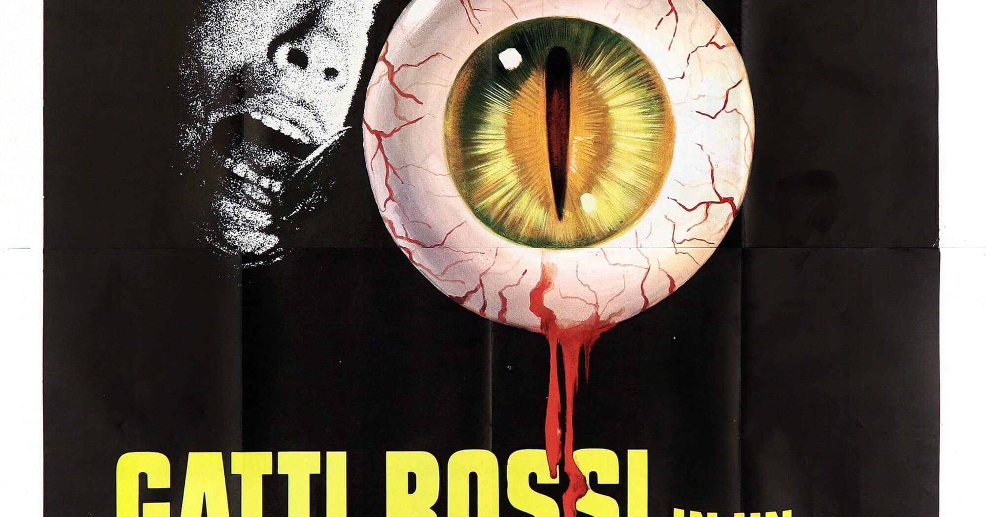 Affiche du film "Chats rouges dans un labyrinthe de verre" (1975)