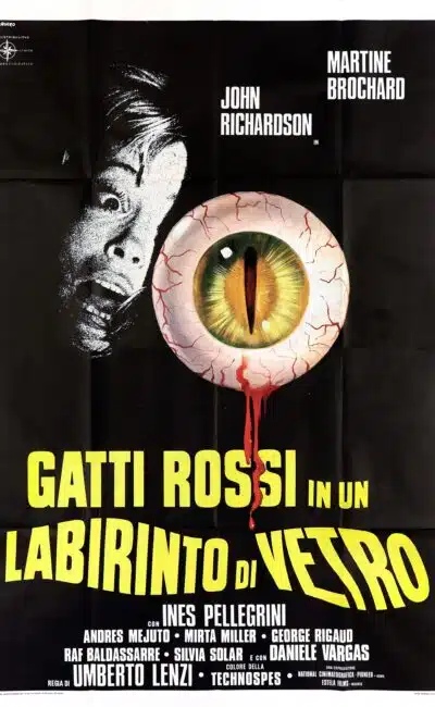 Affiche du film "Chats rouges dans un labyrinthe de verre" (1975)