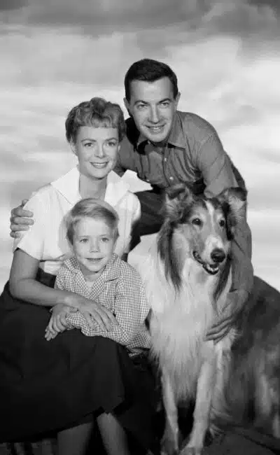 June Lockhart, Jon Provost, Hugh Reilly dans "Lassie" (TV)