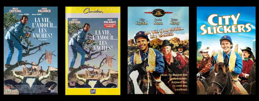 VHS, L'amour, les vies, les vaches...