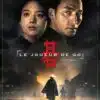 Le Joueur de go, l'affiche