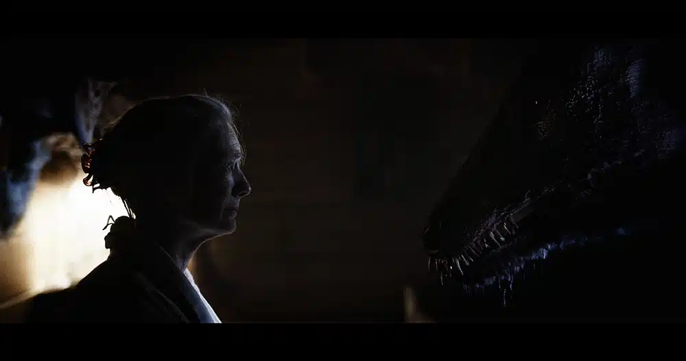 Photo de Bambi La vengeance