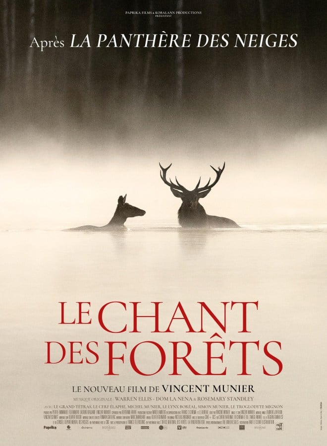 Le Chant des forêts, l'affiche
