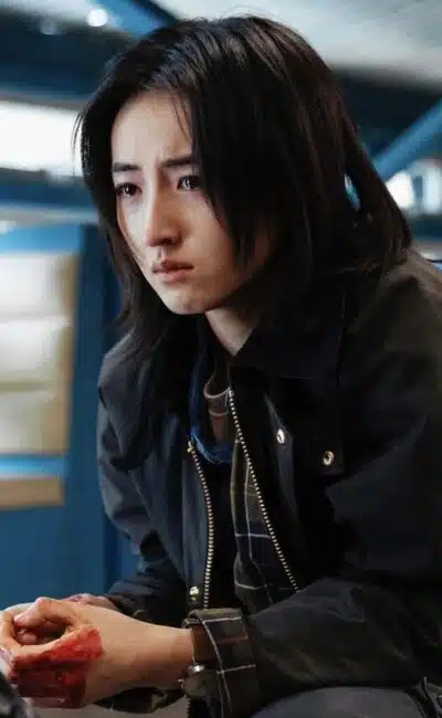Zhang Zifeng, portrait