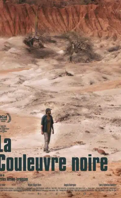 La Couleuvre noire, l'affiche