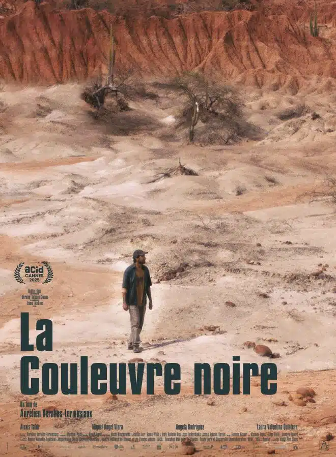 La Couleuvre noire, l'affiche