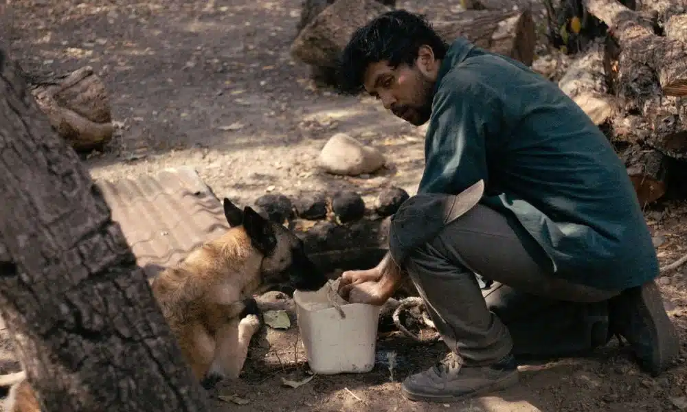 La Couleuvre noire, photo 1