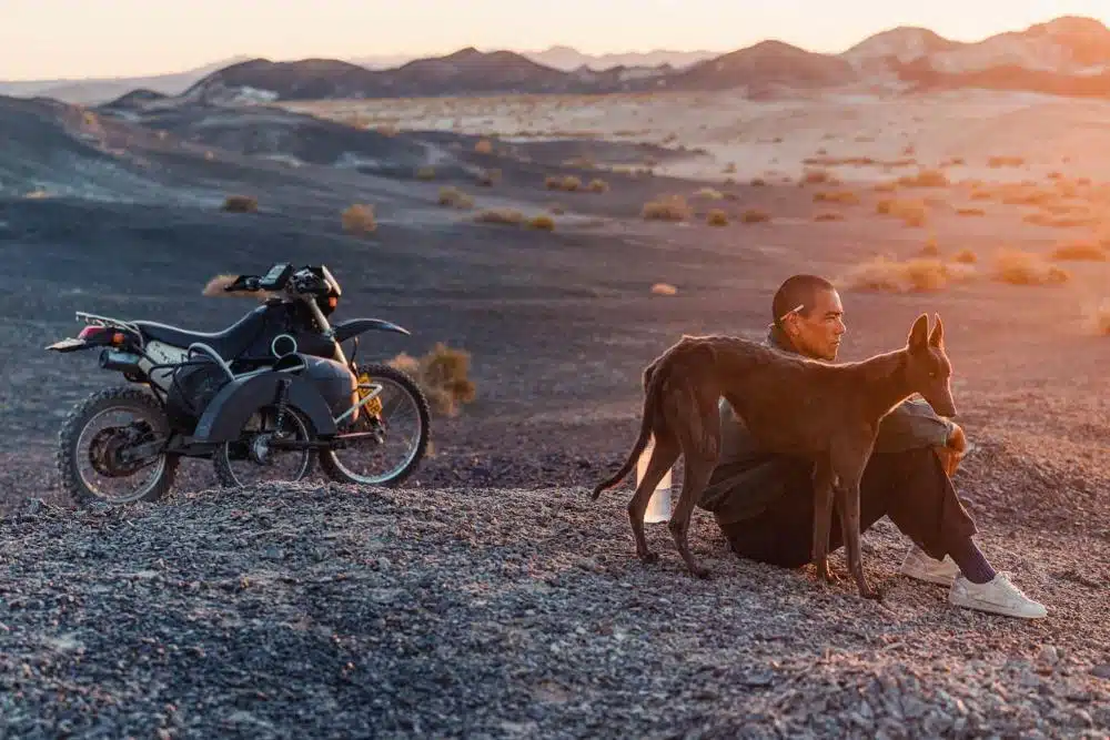 Black Dog, photo 2