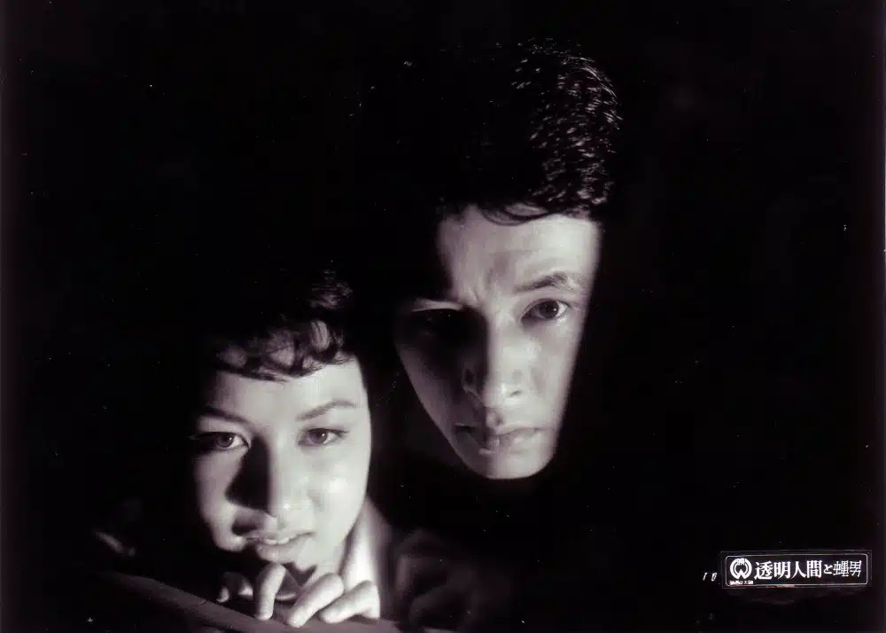 L'Homme invisible contre la mouche humaine, photo 2