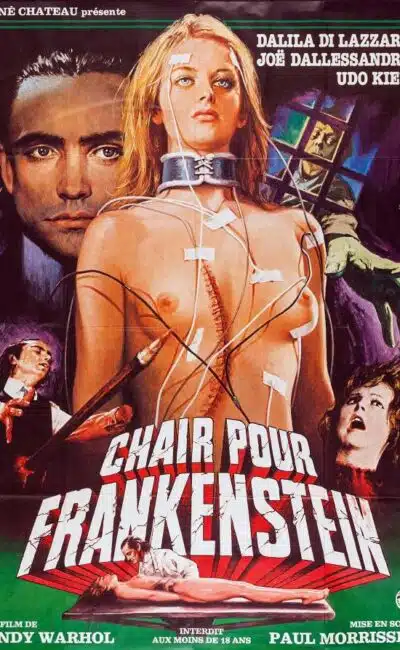 Chair pour Frankenstein, jaquette René Chateau